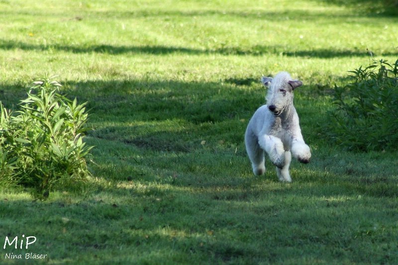 2010-10-03 Coursing-Training GE (24).jpg